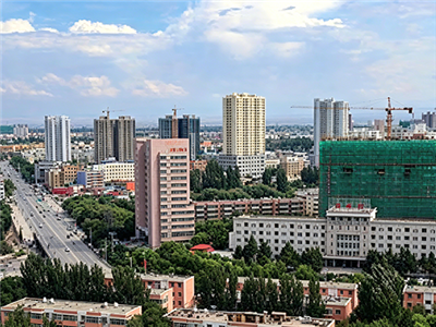 新疆哈密市伊州区卫生... 
